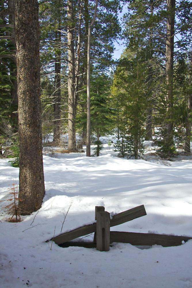Truckee Donner Lodge Ngoại thất bức ảnh